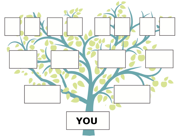 An Ahnentafel clipart of 4 generations